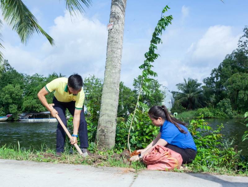 PVCFC trồng 300.000 cây xanh hưởng ứng chương trình Vì một Việt Nam xanh. Nguồn: PVCFC